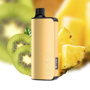 Alibarbar Ingot 9000 Puffs - Kiwi Pineapple