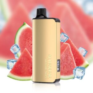 Alibarbar Ingot 9000 Puffs - Watermelon Ice