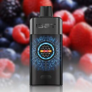 IGET One 12000 Puffs Black Forest
