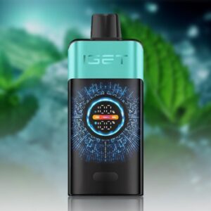 IGET One 12000 Puffs Mountain Spring Mint Ice